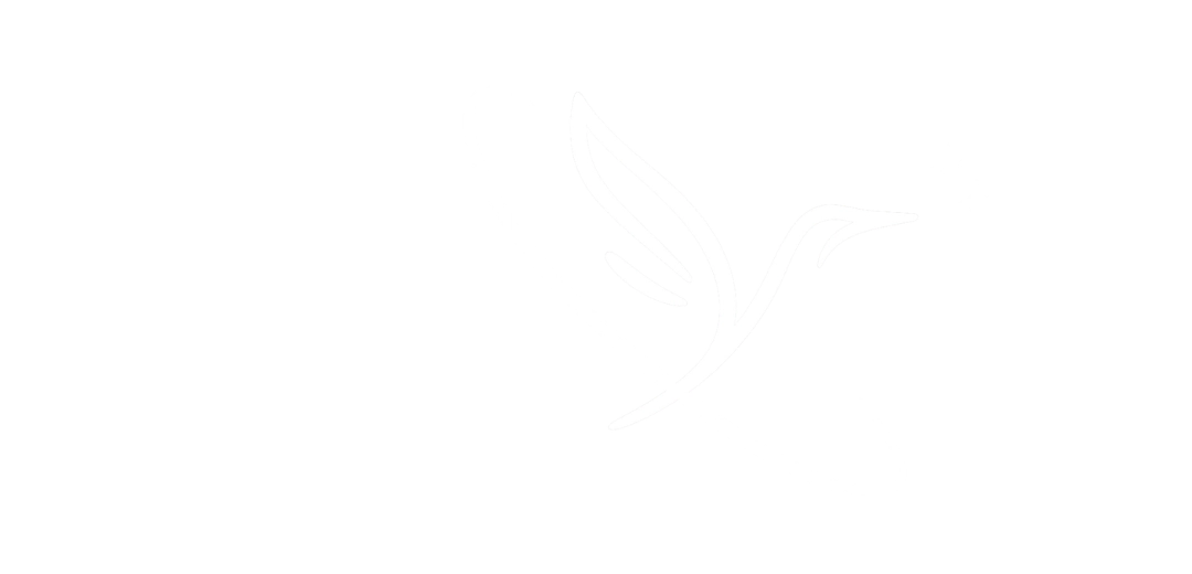 Soulnest Press